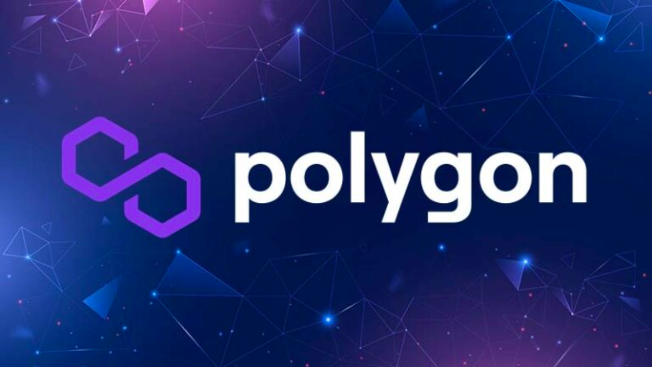 Polygon(ポリゴン)