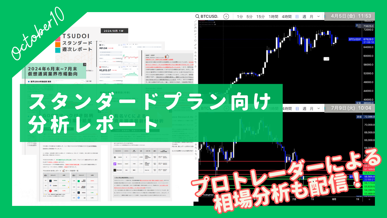 2024年10月度レポート