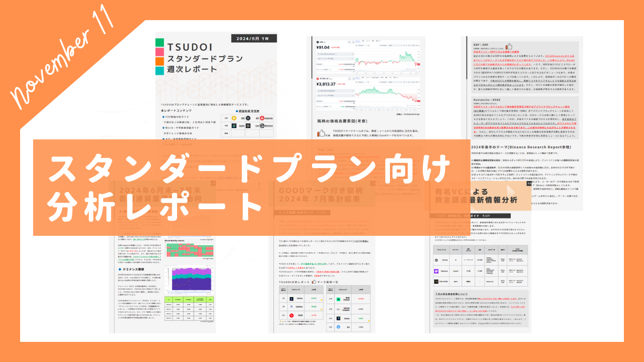 2023年11月度レポート