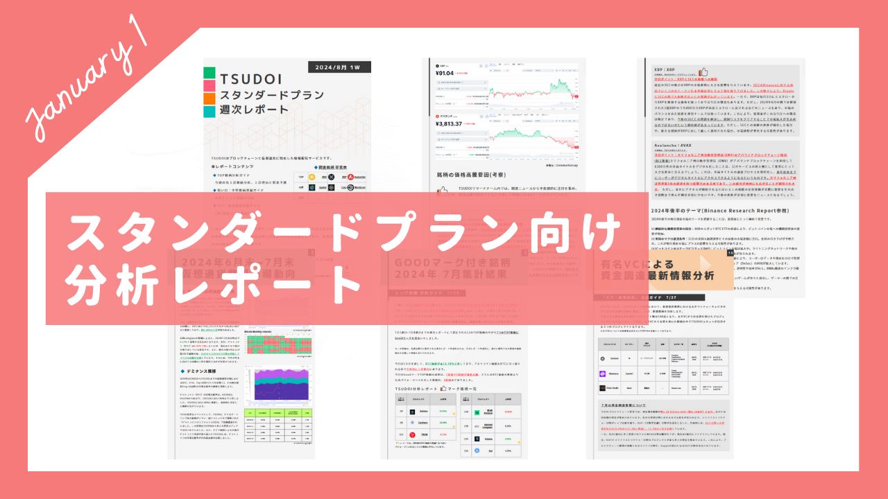 2024年1月度レポート