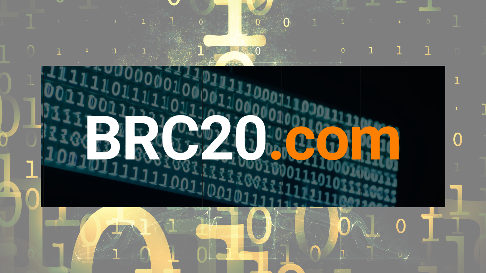 ビットコイン経済圏 | TSUDOI