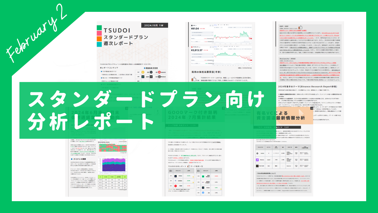 2024年2月度レポート