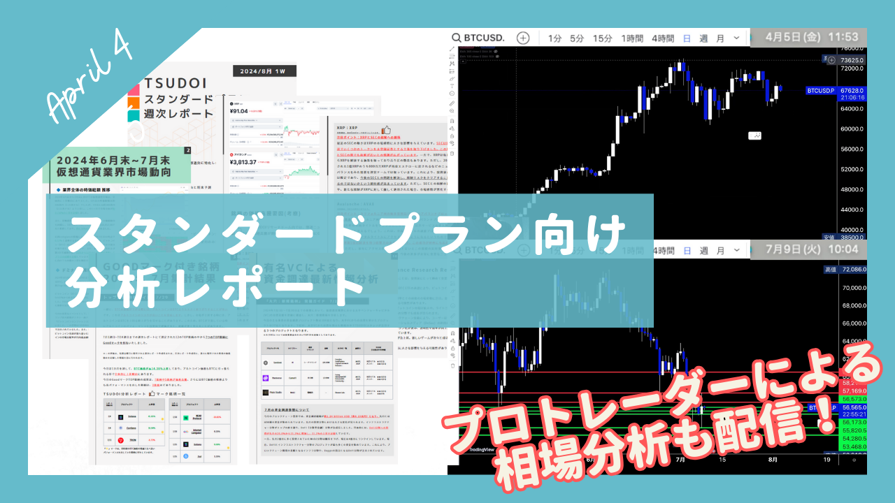 2024年4月度レポート