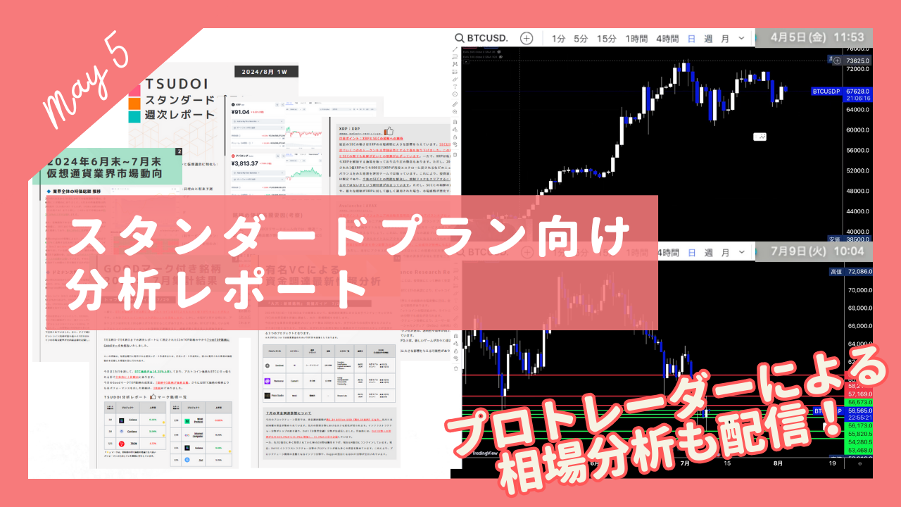 2024年5月度レポート