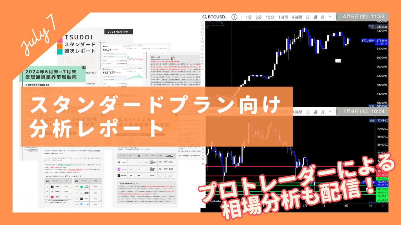 2024年7月度レポート