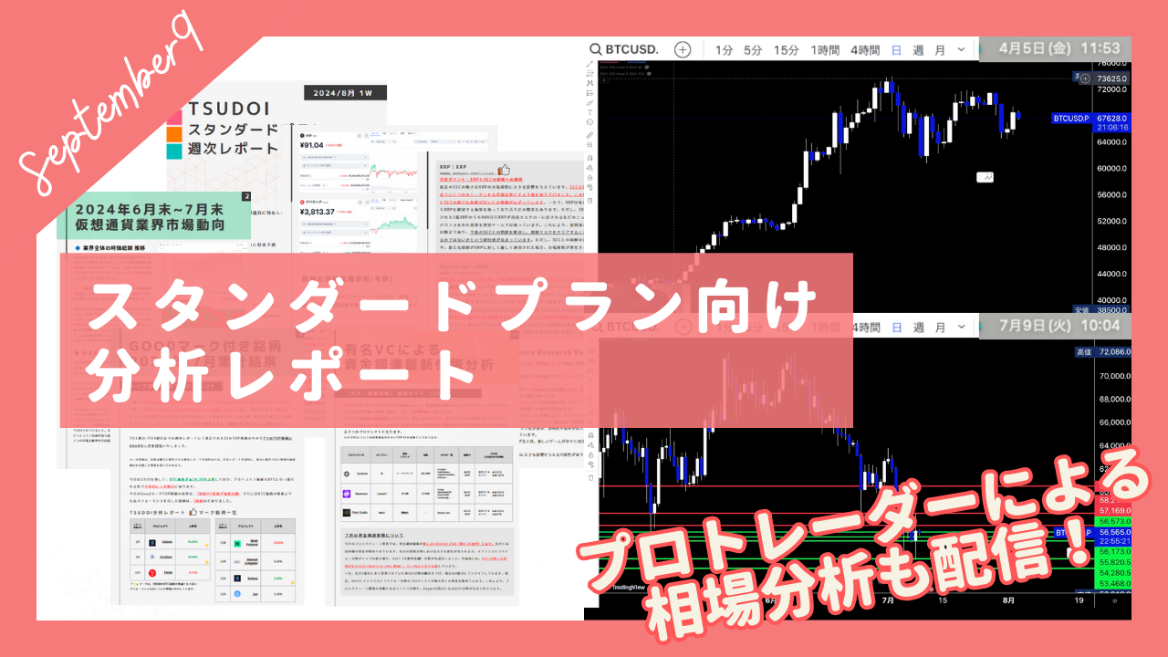 2024年9月度レポート